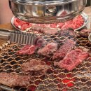 늘푸른목장 이미지