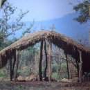 성원(아) 이미지