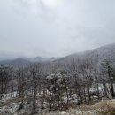 개별 화장실 넓은 사이트 마운티뷰가 좋은 엘모로캠핑파크 캠핑장 명당 추천 후기