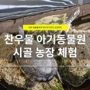 수농장 | 고양 찬우물 체험 동물농장 후기｜동물먹이주기 가능한 체험농장, 주차·이용요금·소요시간 정보