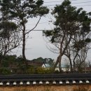 남도버스 이미지