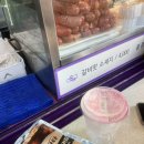 고팡하우스 | 서울랜드 4월 5살 7살 아이와 주말나들이 솔직후기 정보공유