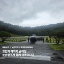 DW민주행정사무소 | 고인의 마지막 순례길, 보은상조가 함께 하겠습니다 EP.8