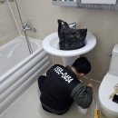 호수공원 APT 이미지