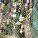 배양1리 마을회관 이미지