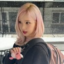 핑크애비뉴