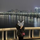 국제전파사