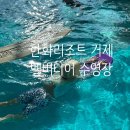 한화리조트거제벨버디어 수영장 | 한화리조트 거제 벨버디어 수영장 이용요금 준비물 아이랑 다녀온 후기