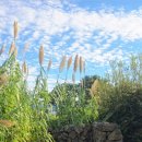 제주 그믐 이미지