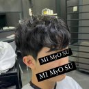 댕댕미미 이미지