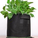 텃밭 | 상추 키우기 대형 부직포 화분 2P 세트 베란다 텃밭 재배 후기