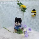 아름다운 동물병원 이미지