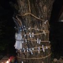 수정로120번길 | 성남점집, 스스로 방향을 잡기 어려운 시기라면 방문해 보세요 '나라신궁연화사 용한유명한 신점'