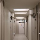 대전브라운도트 월평점 이미지