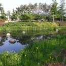 부산시민공원 이미지