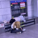시청역 (1호선) 이미지