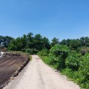 오조리-8 이미지