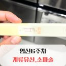 아이미즈산부인과의원 | 아주 짧았던 셋째 임신 기록, 임신 6주차 계류유산 소파술