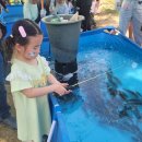 함평나비마을서울캠핑장 | 함평나비마을서울캠핑장 2박3일 아이랑 캠핑 (feat 2024함평나비축제)