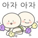 모베러테니스