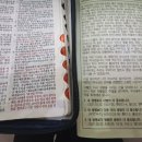 하바드치킨 이미지