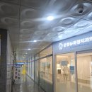 영어놀이터 | [튼튼영어] 놀다보면 언어가 되는 영어놀이터, 원어민 체험수업 후기