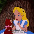 비오드