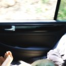 양평가축병원 이미지