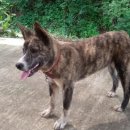 오지농장 이미지