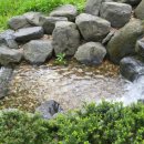 뱃골어린이공원 이미지