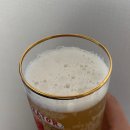 젠터 | 2.4 프로젠터헬 독일맥주 후기🍺 가볍지만 꽉 찬 맛! 부담 없이 즐기기 좋은 저도주 맥주