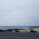 바다커피숍 - 수영구 | 바다커피숍