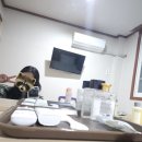 바이킹 모텔 | 나홀로 제주도 2박3일 여행후기(핫플트립,일일투어버스 여행후기)
