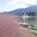 송도다올공인중개사사무소 이미지