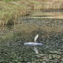 정원광장 이미지