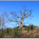 동강자동차정비 이미지