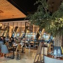 그곳에 비엘로 이미지