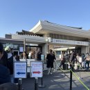 경주역 | 국립경주박물관 금관 전시 예약 없이 방문 후기 (경주역 뚜벅이 시내 버스로 가는 방법)