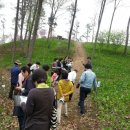 산마늘밥 이미지