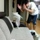 사랑의꽃집 | 3개월 청담동 꽃집 알바 후기 - 로지필드