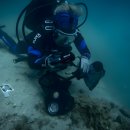 해로수중 이미지