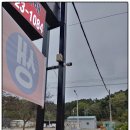 에코맘어린이집 이미지