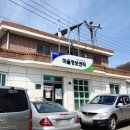 경기 양평 산수유 정보화마을 네이버블로그