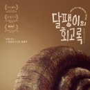 느린 달팽이 | 영화 리뷰) 스톱모션 애니메이션 &#39;달팽이의 회고록&#39; 후기 : 천천히, 그러나 깊게 다가온 영화