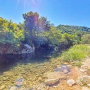 캠프더 포레 이미지