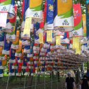 산삼축제장 고향 함양에 재경함양군향우회 회장단에서 관광버스 1대로 참석하고(11/07/29)서울로 상경하다 이미지