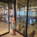 암남길 벗 과 벗 이미지