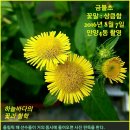 3-39. 과학의 천지창조 : 빅뱅 이론 3- 힘. 입자와 공간을 만들다. 이미지