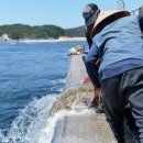 수산농장 이미지