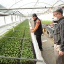 한길농부 농장 이미지